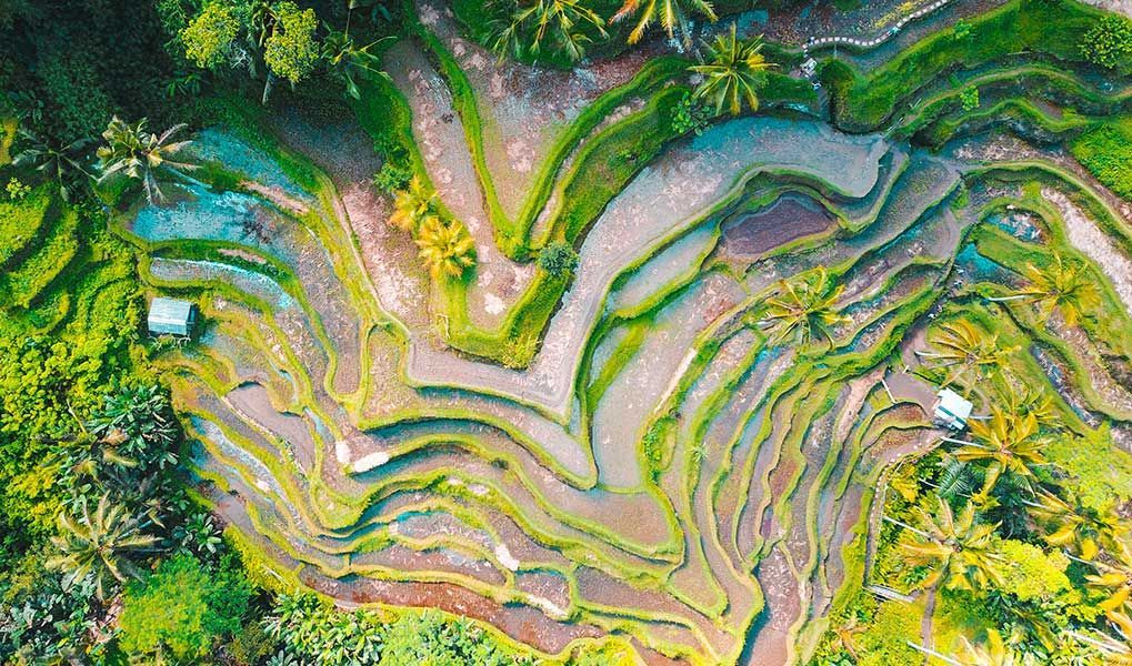 Bali travel packages Bali travel packages