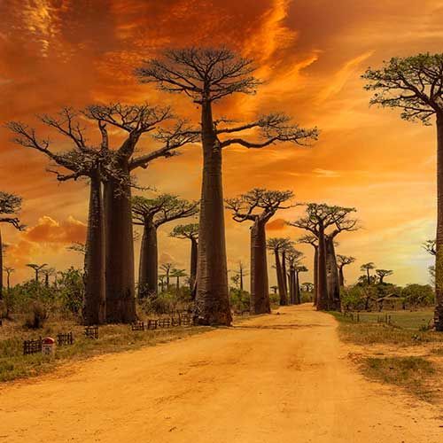 Maldives Holidays Packages