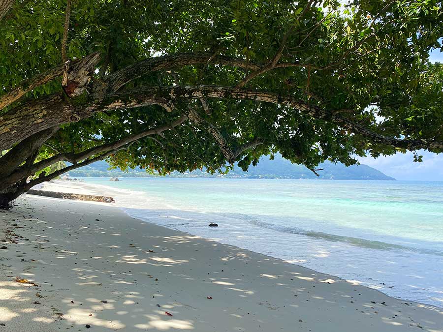 Shaded beach at Beau Vallon, Seychelles Shaded beach at Beau Vallon, Seychelles