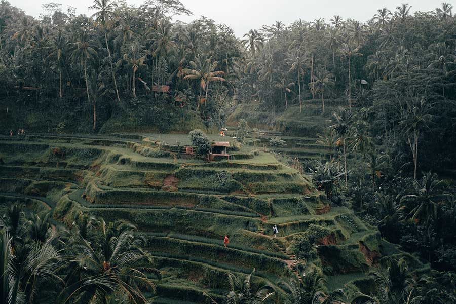 City Break: What to do & see in Ubud, Bali
