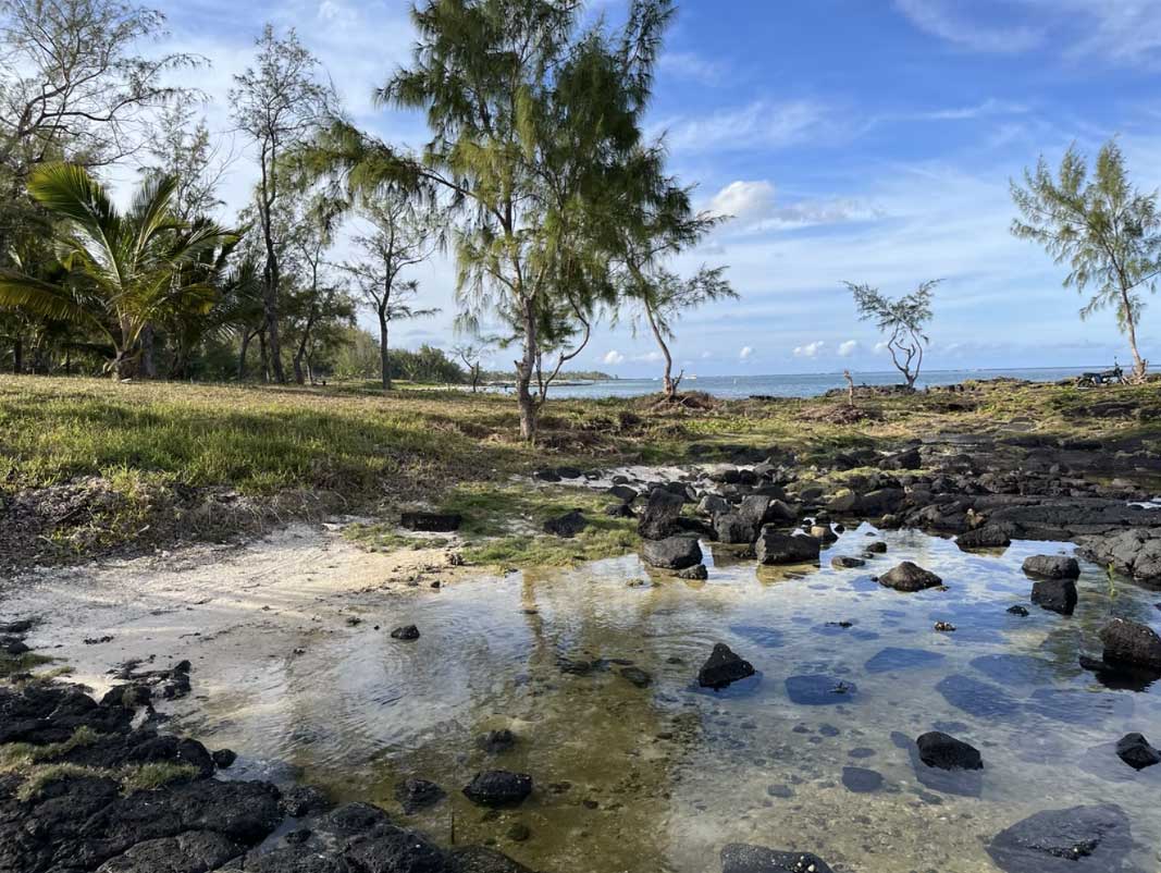 Rocky tidal pools at La Cambuse Beach, Mauritius Rocky tidal pools at La Cambuse Beach, Mauritius