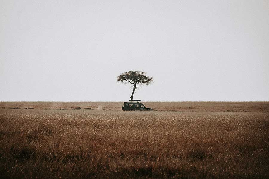 Kenya Kenya Holidays 2025