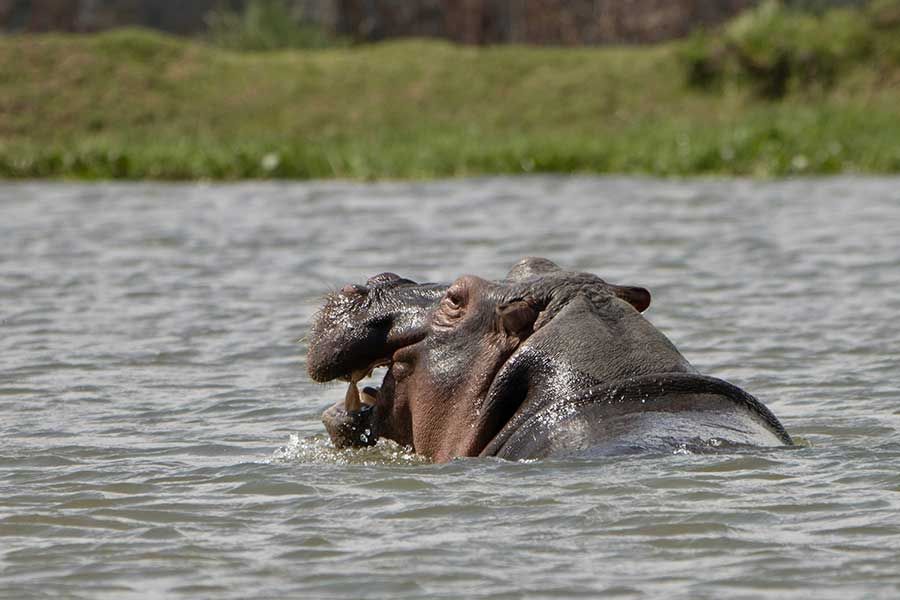 Kenya Kenya Holiday 2025