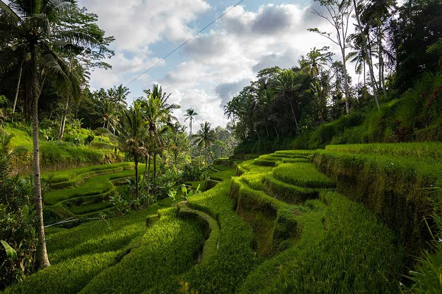 Bali holiday package Bali holiday package