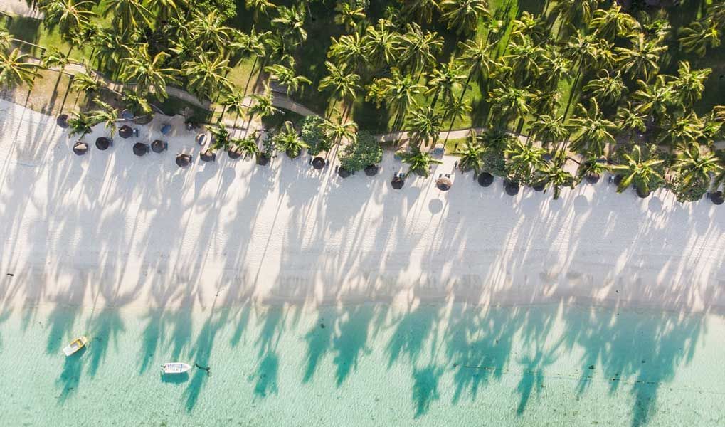 Palm-lined white-sand beach with clear turquoise water in Mauritius. Palm-lined white-sand beach with clear turquoise water in Mauritius.