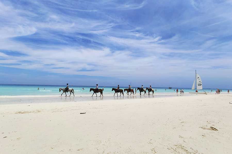 Zanzibar Zanzibar specials