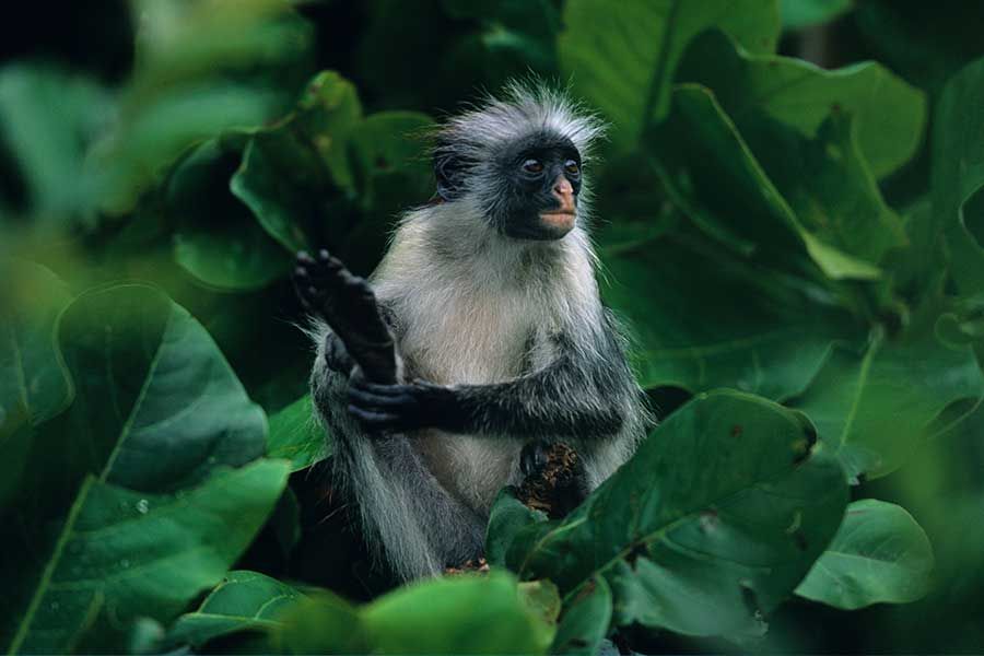 Don't Forget These Essentials: What To Pack for Zanzibar | Zanzibar packages 2024