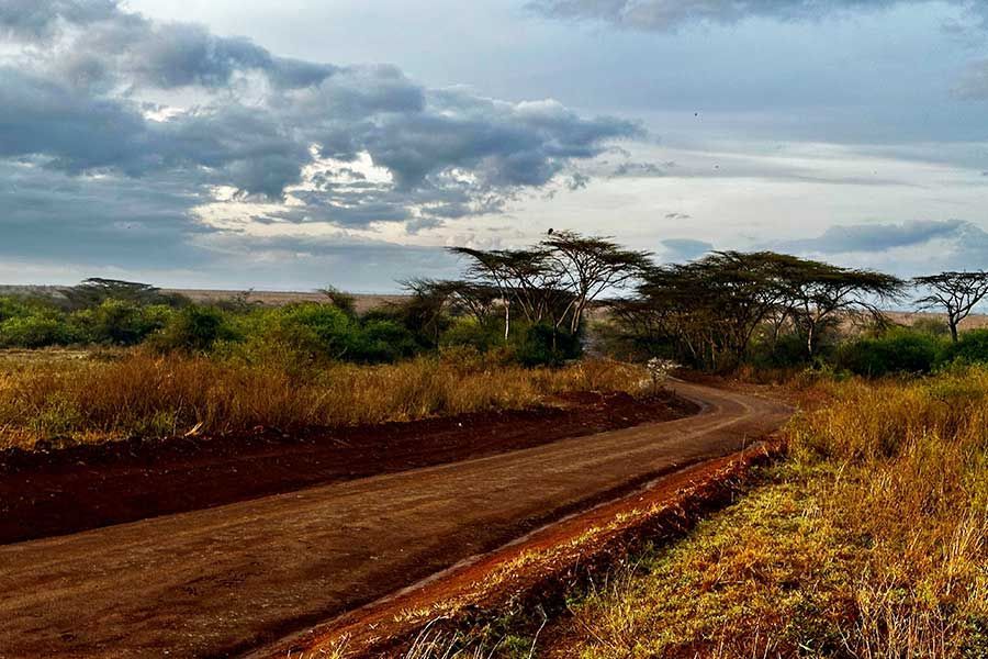 Red dirt road winding through Samburu's acacia savanna under a cloudy sky