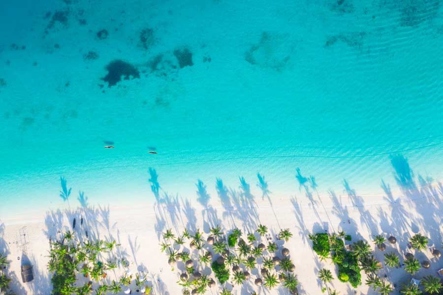 Prison Island: Giant Tortoises and a Complicated History