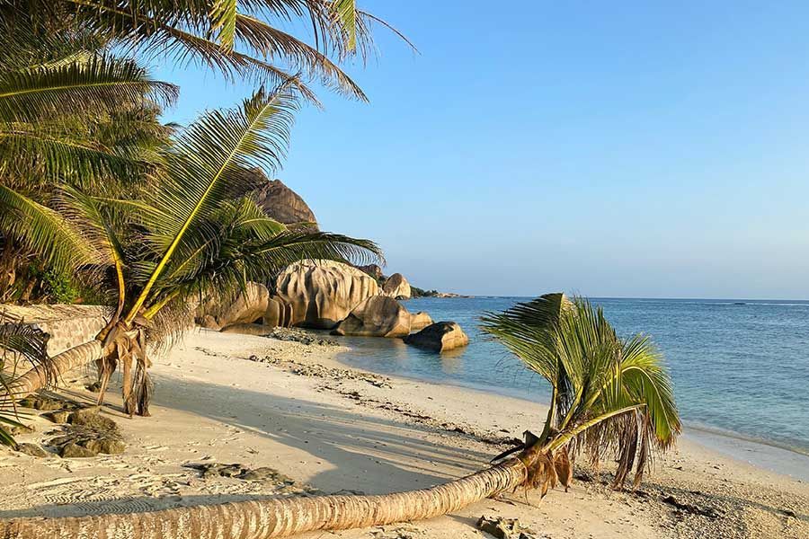 Seychelles packages 2024 Seychelles packages 2024