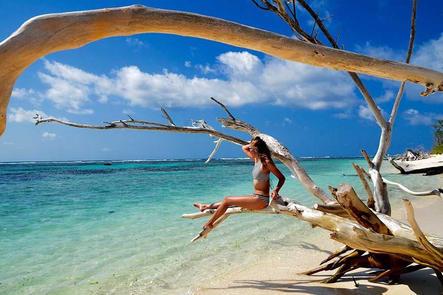 Seychelles honeymoon package Seychelles honeymoon package