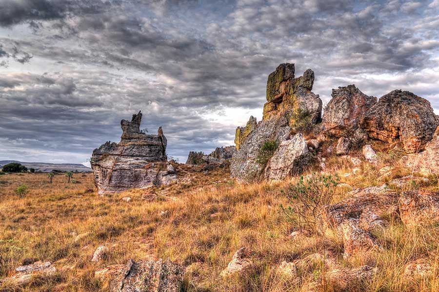 Madagascar holiday package Madagascar is an unparalleled destination for those seeking exclusivity, adventure, and natural beauty. From overwater bungalows in Ile Sainte Marie to exploring the mystical Tsingy de Bemaraha, this island offers an experience like no other. Enjoy fresh seafood, sip on signature cocktails, and unwind with luxurious spa treatments in breathtaking surroundings. With Quintrip’s expertly crafted Madagascar holiday package, you can enjoy a seamless journey tailored to your preferences. Whether you seek high-end luxury or authentic cultural encounters, Madagascar packages by Quintrip guarantee a once-in-a-lifetime escape.