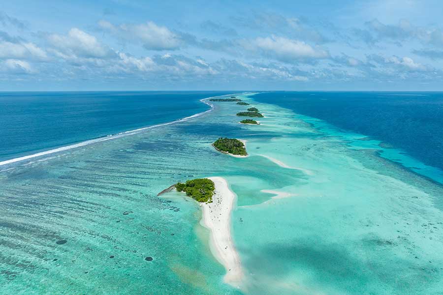 Dolphin watching and marine life in the Maldives