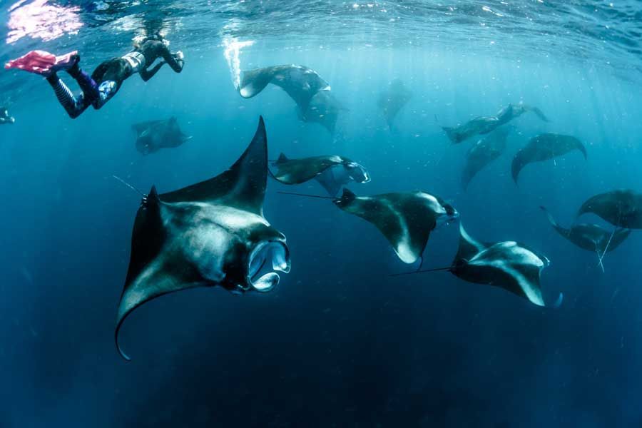 Maldives holiday packages from south africa Maldives holiday packages from south africa