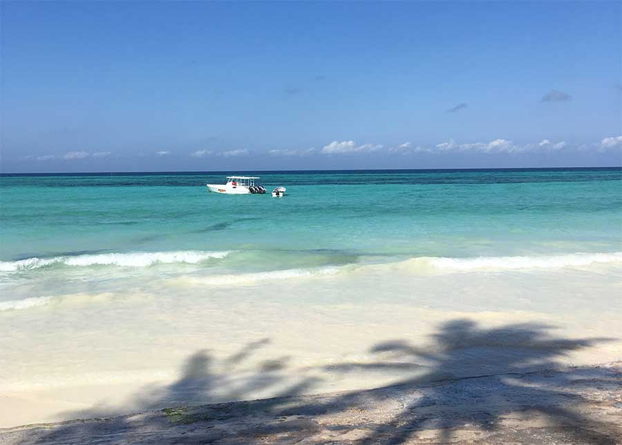 Kizimkazi Beach, Zanzibar Kizimkazi, in Zanzibar's southern district, remains unspoilt by tourists. If you're seeking for a holiday package deal to get away from the crowds and unwind in nature, consider a trip to Kizimkazi. After spending 5 days in Kizimkazi, I'm delighted to give my ideas for where to stay, where to eat, and what to do.