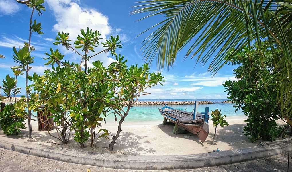 Traditional boat resting on a palm-fringed beach in the Maldives. Traditional boat resting on a palm-fringed beach in the Maldives.