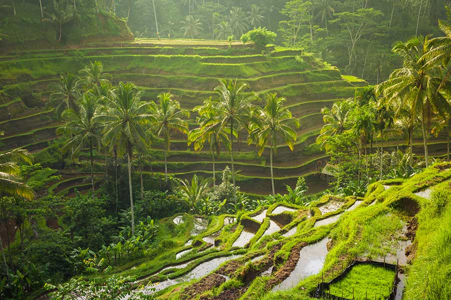 Bali's best sunrise and sunset spots