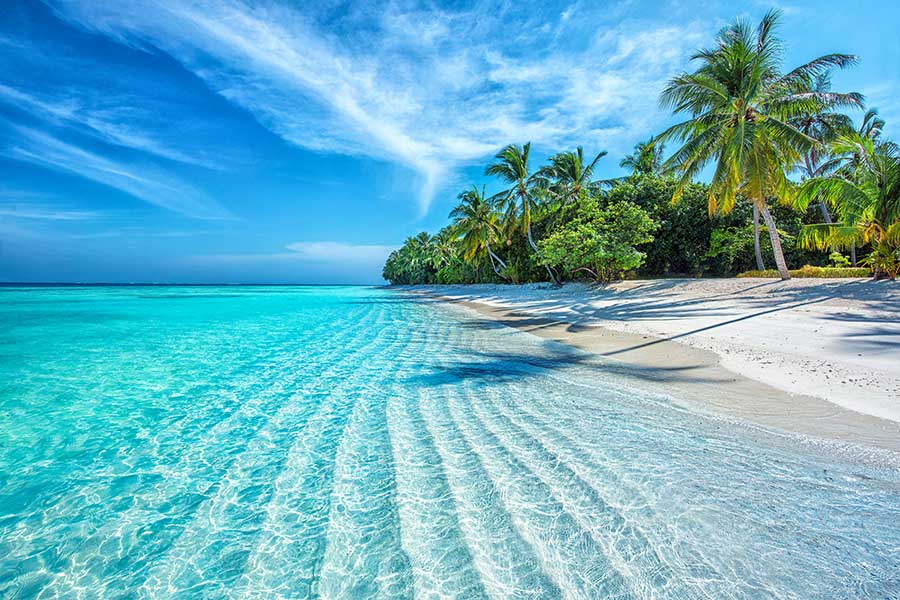 Honeymoon holiday packages in the Maldives for a total change of scenery with the person you love