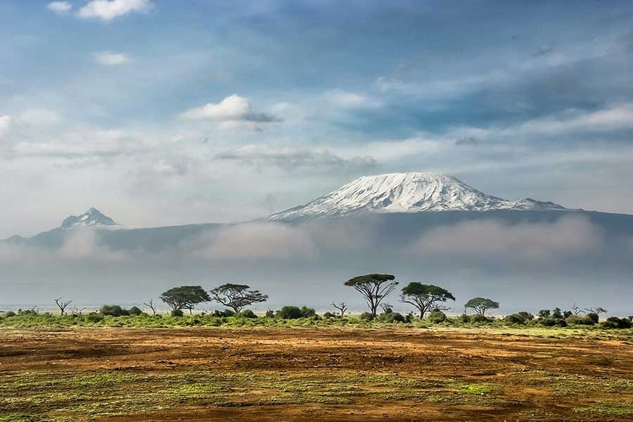 Mount Kilimanjaro's snow-capped peak rising above acacia trees and clouds in Kenya