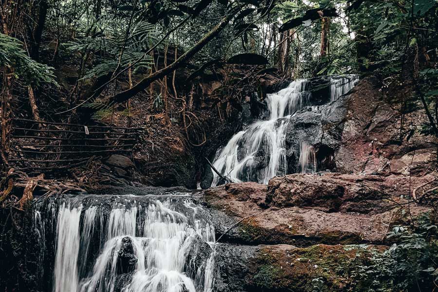 With all the vast and vibrant beauty of Karura just a few miles from the heart of the city, it remains for Kenyans and visitors to support by visiting the forest! This is the main reason why the Creative City concept is so important to the development of the city. This remarkable location and natural resource is one of the largest classified forests in the world, located entirely within the boundaries of a city.