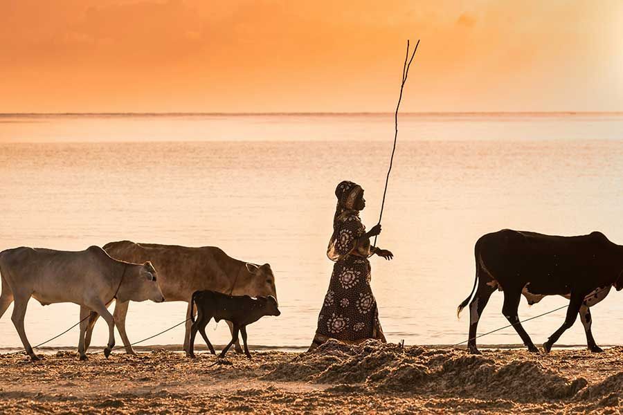 Zanzibar: A Blend of Luxury and Adventure for Every Traveler