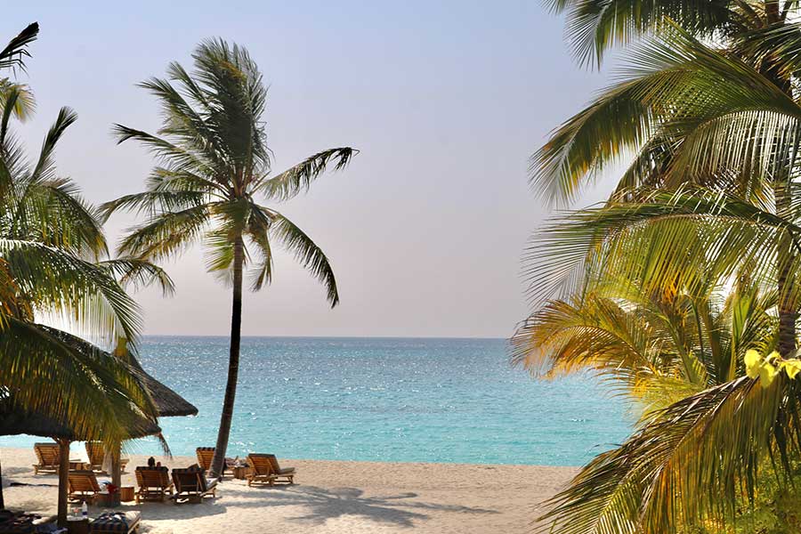 The Ultimate Zanzibar Travel Guide for 2023