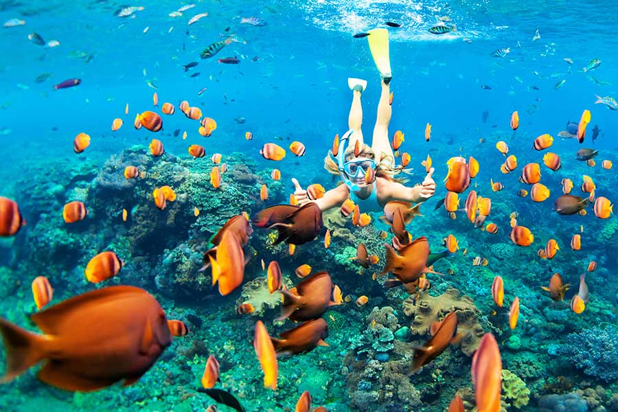 Bali with kids: a family activity guide