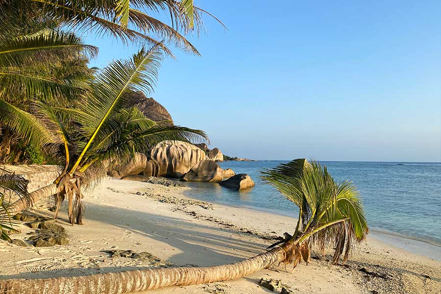 Granite boulders and a leaning palm tree on a Seychelles beach, in the style of La Digue's Anse Source d'Argent Granite boulders and a leaning palm tree on a Seychelles beach, in the style of La Digue's Anse Source d'Argent