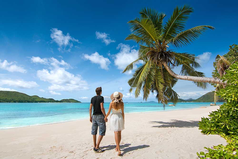 Couple holding hands on a white sand beach under a palm tree looking at turquoise ocean