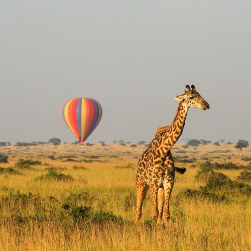 kenya holiday packages