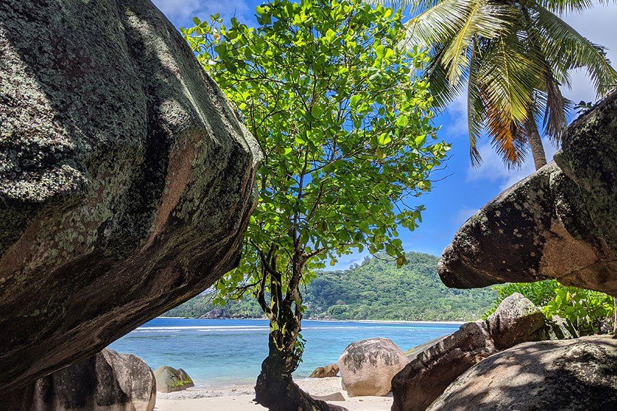 Granite boulders frame a palm-shaded view of a Seychelles beach, with forested hills in the distance Granite boulders frame a palm-shaded view of a Seychelles beach, with forested hills in the distance