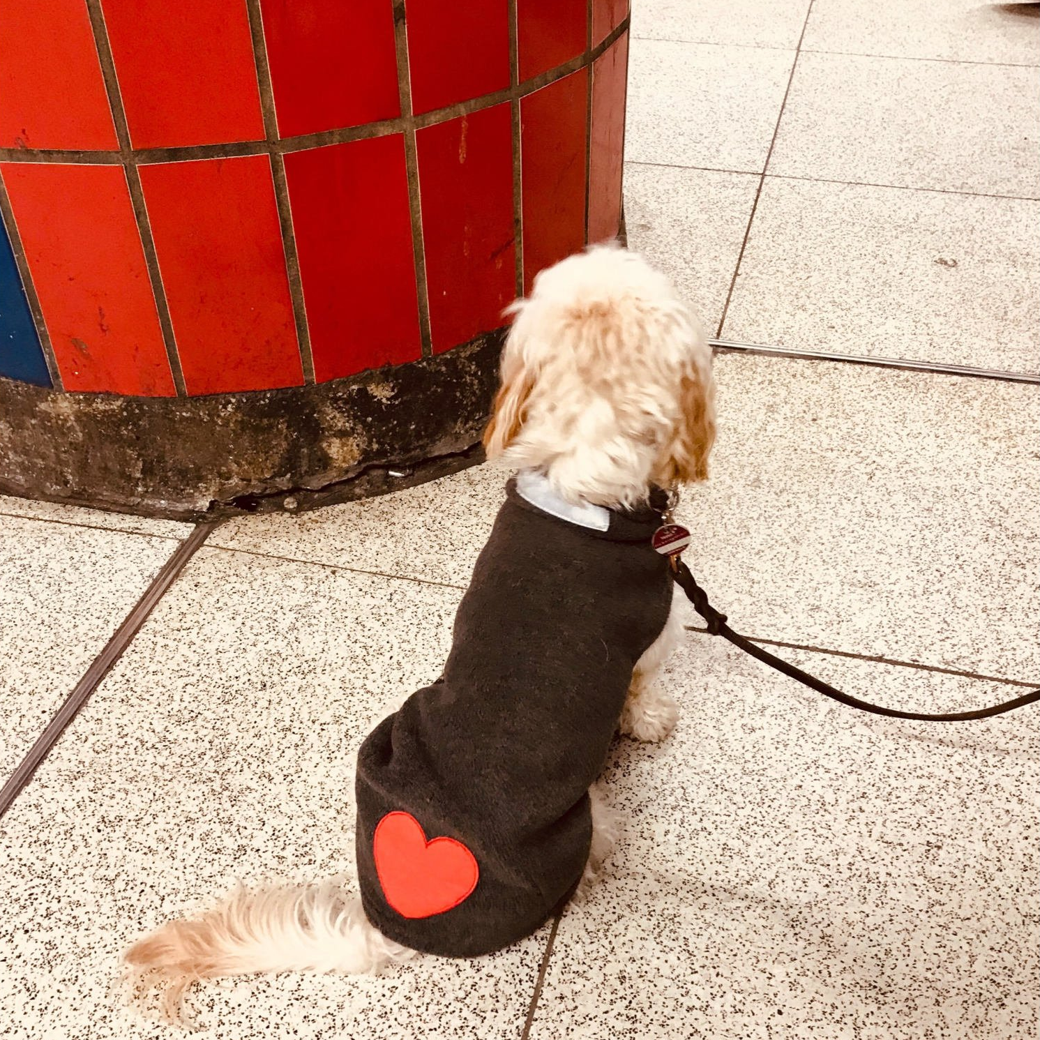 Stylistin | Anna Milena Balzer | Styling Hamburg | Personal Styling | YOLA Stylistin | Anna Milena Balzer | Styling Hamburg | Personal Styling | YOLA