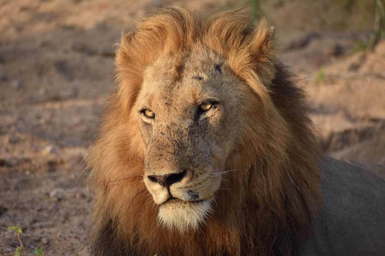 Isa Zöller und Emma Sammet Volontariat in Südafrika/ https://www.emmaphotography.de/