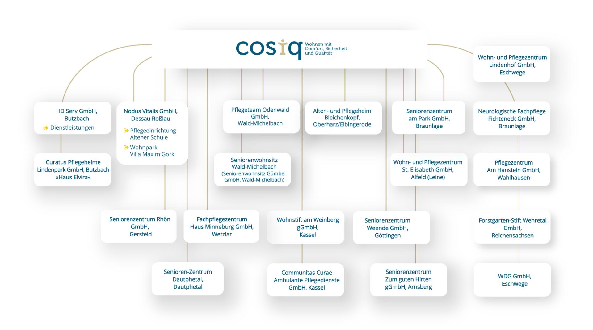 Organigramm der cosiq Holding und deren Einrichtungen