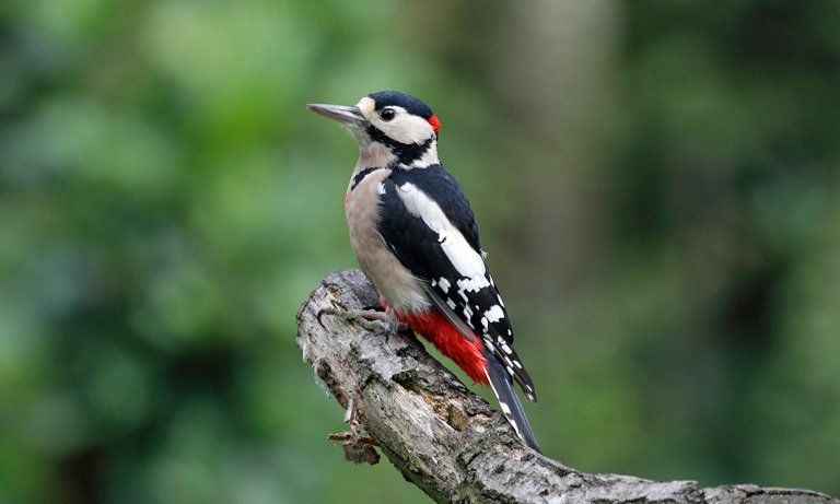 Naturschutz Feld Landwirtschaft
