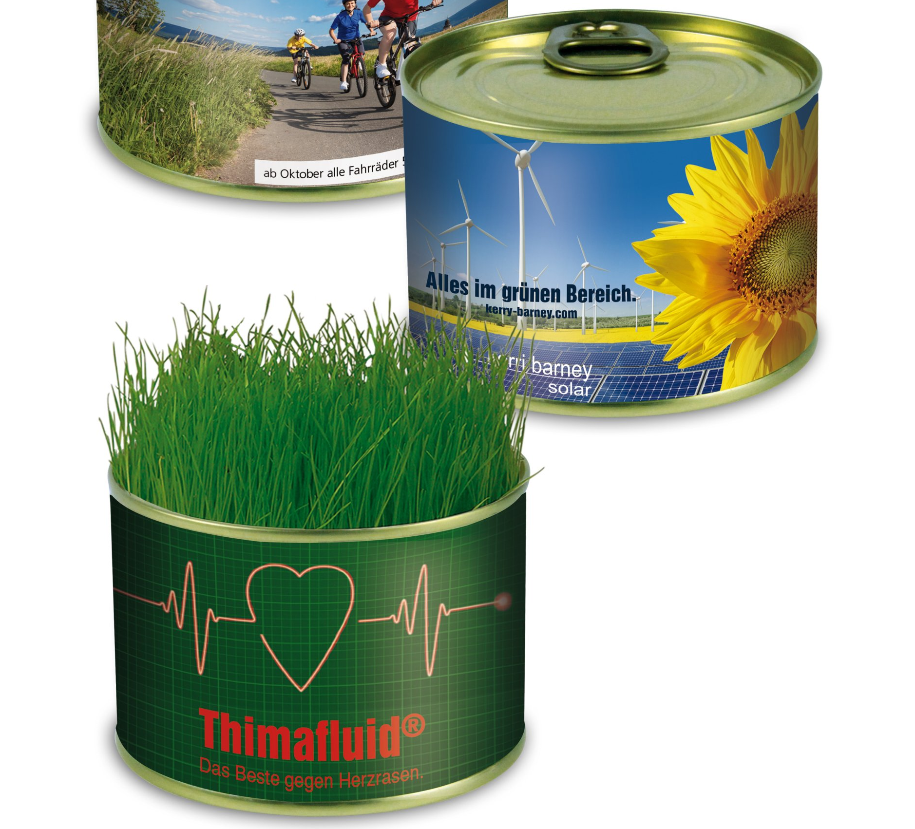 Boite de conserve avec pastille de terreau compressé et sachet de graines au choix Boite de conserve nature