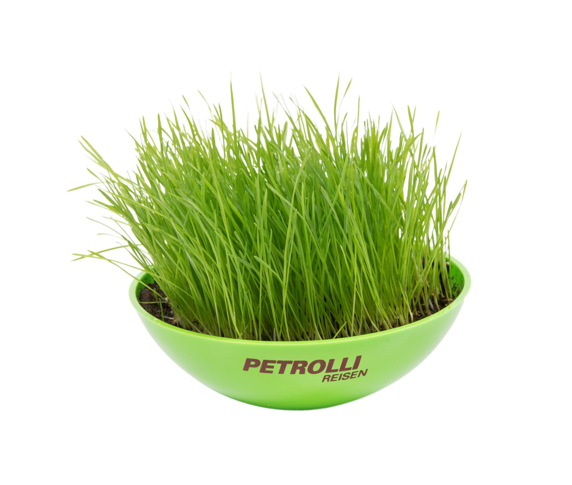 Existe en plastique Bio Coupelle Swing