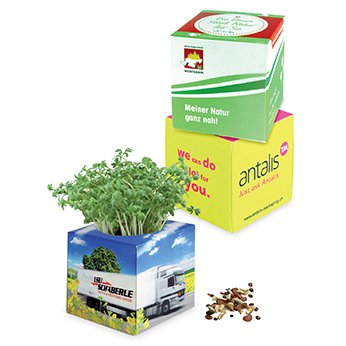 Livré avec une pastille de terreau compressé et 1 sachet de graines Cube végétal