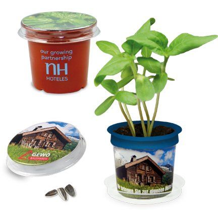 Livré avec une pastille de terreau compressé et 1 sachet de graines Pot Florero