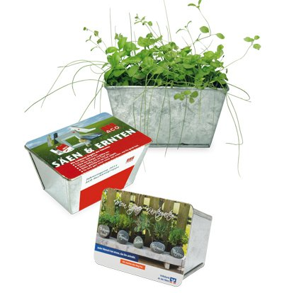 Livrée avec pastille de terreau compressé et graines au choix Mini jardinière en métal