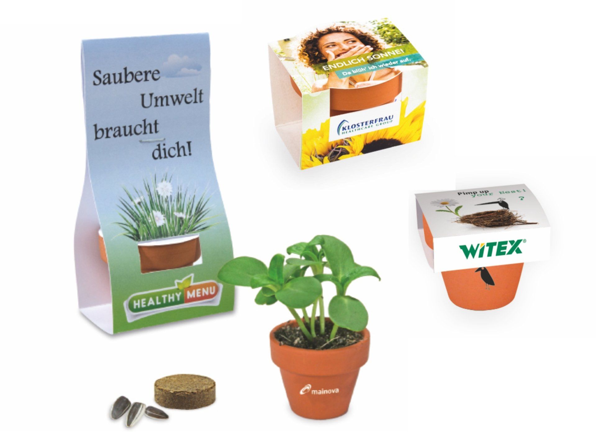 Livré avec une pastille de terreau compressé et 1 sachet de graines Mini pot terre cuite sous pochette