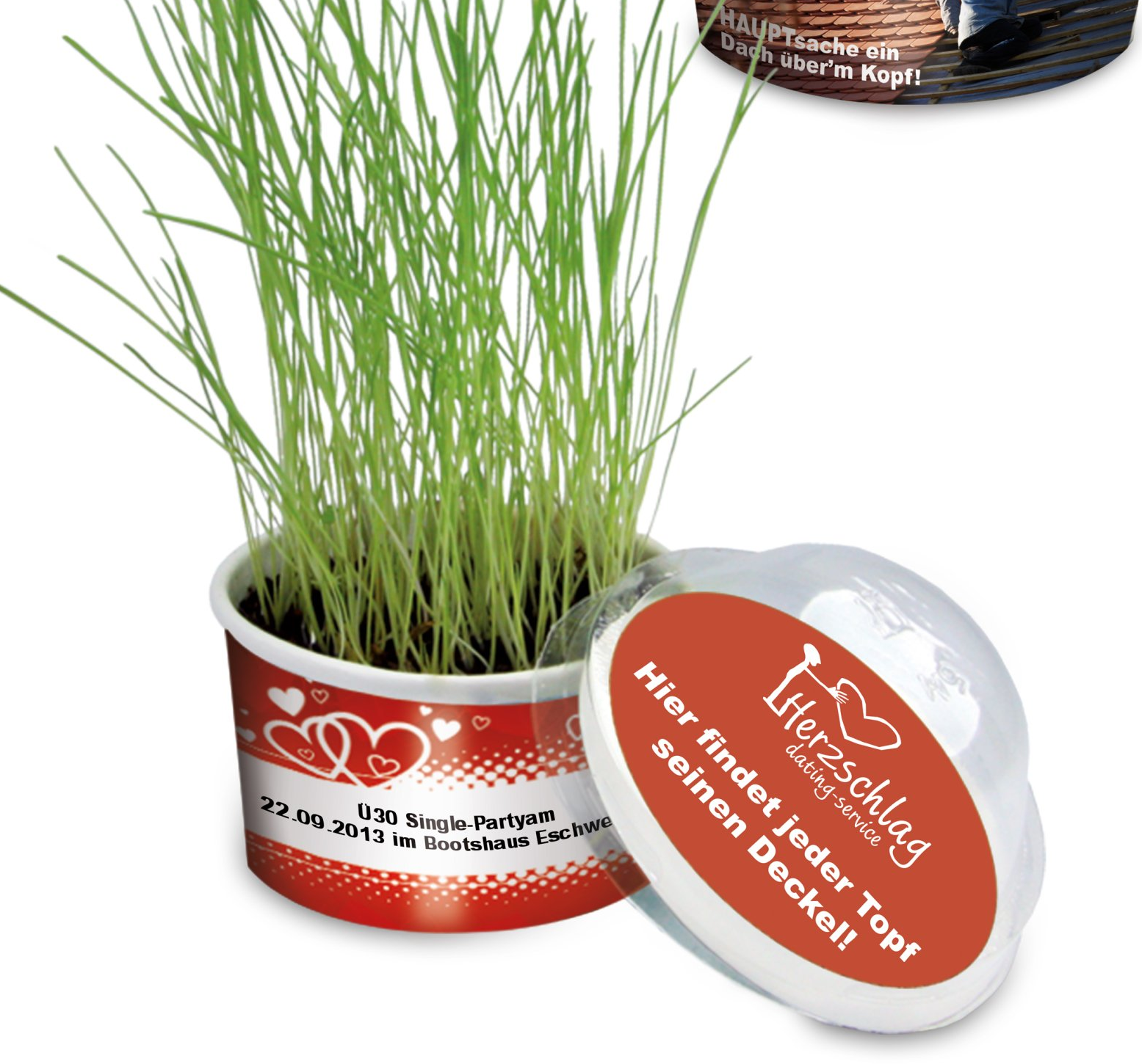 Livrée avec pastille de terreau compressé et sachet de graines au choix Mini serre