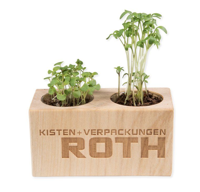 Pot en bois d'érable, livré avec une pastille de terreau compressé et 1 sachet de graines au choix Set de 2 pots bois - 4 x 8 x 4 cm