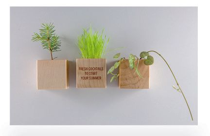 livré avec pastille de terreau compressé et 1 sachet de graine Pot cune bois mini avec aimant