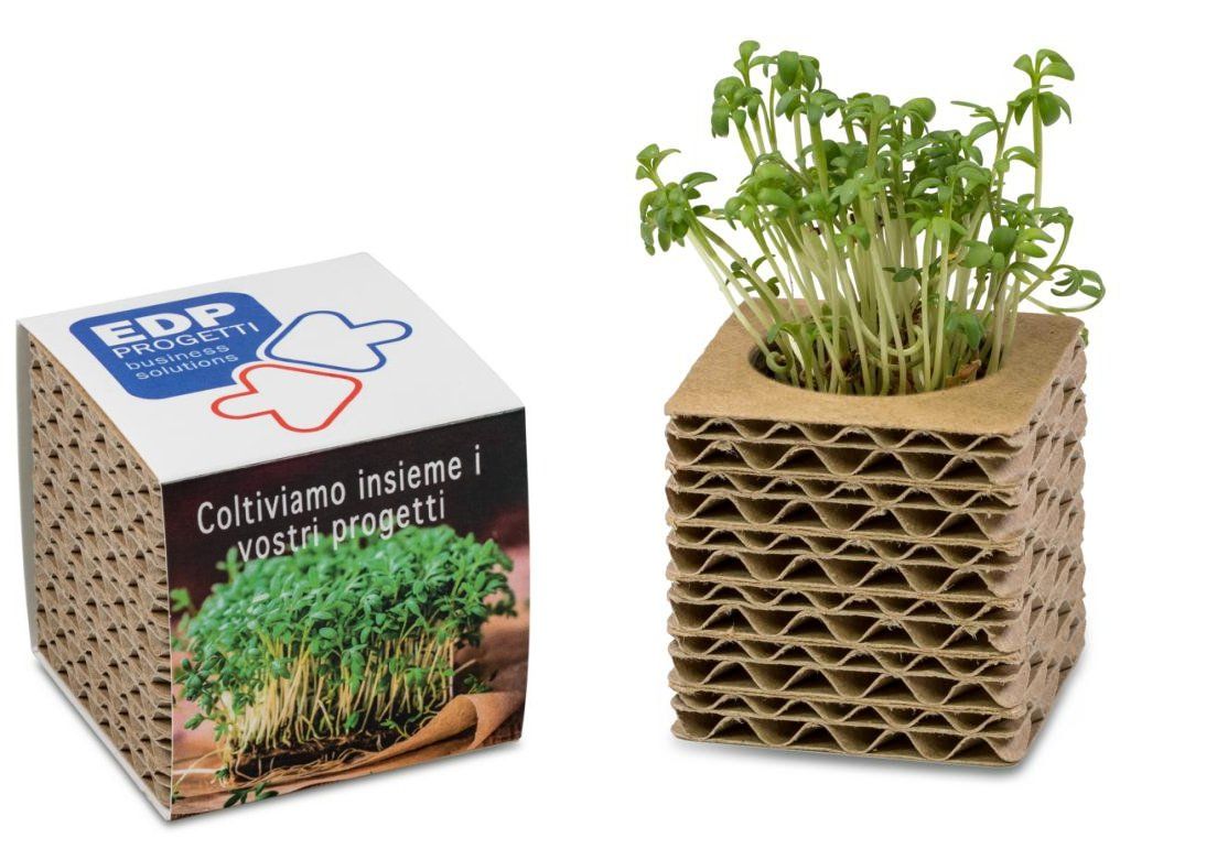 Pot en carton ondulée, livré avec une pastille de terreau compressé et 1 sachet de graines au choix Pot carton ondulé GM - 6 x 6 x 6 cm