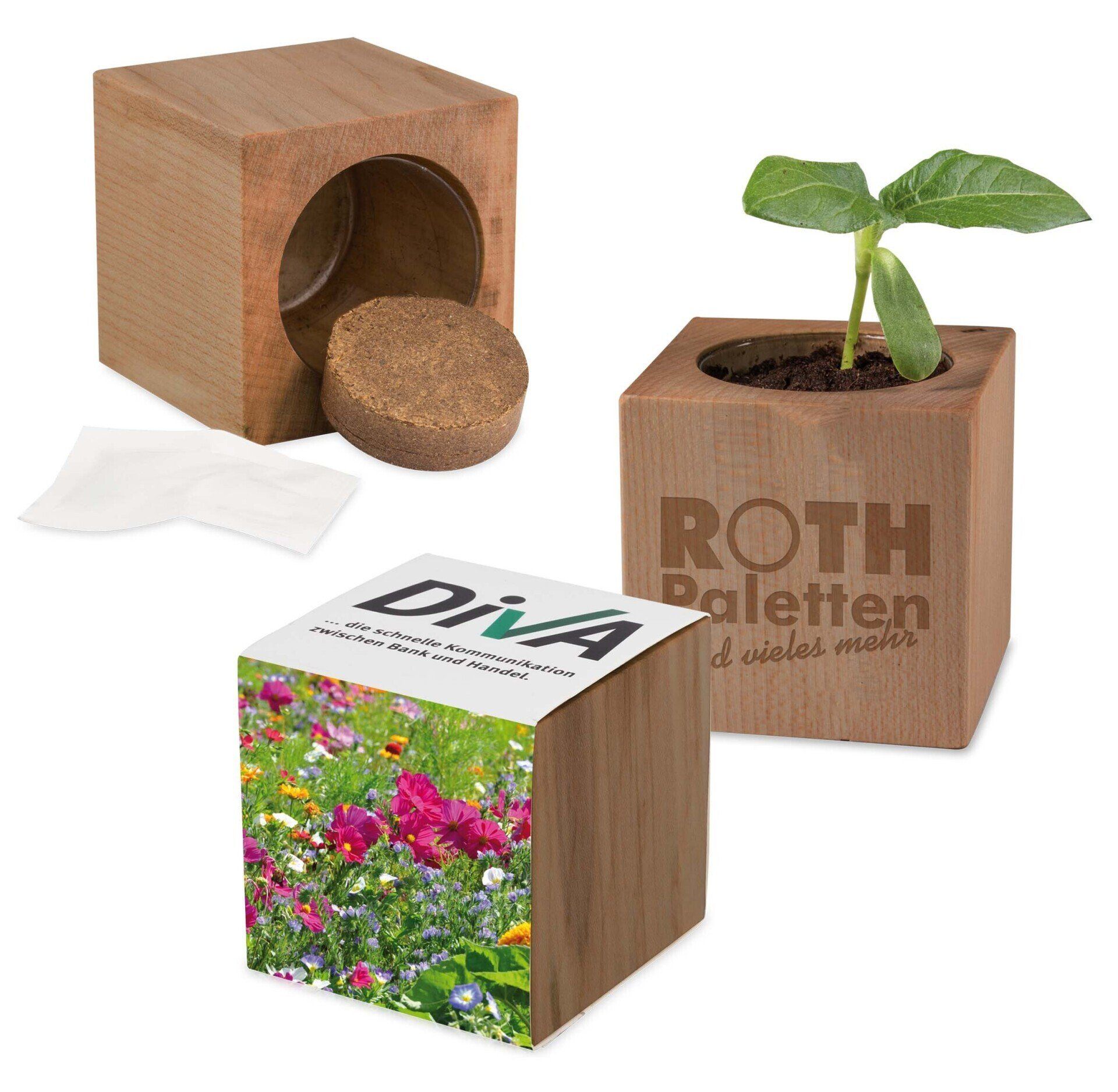 Pot cube bois mini bois d'aulne