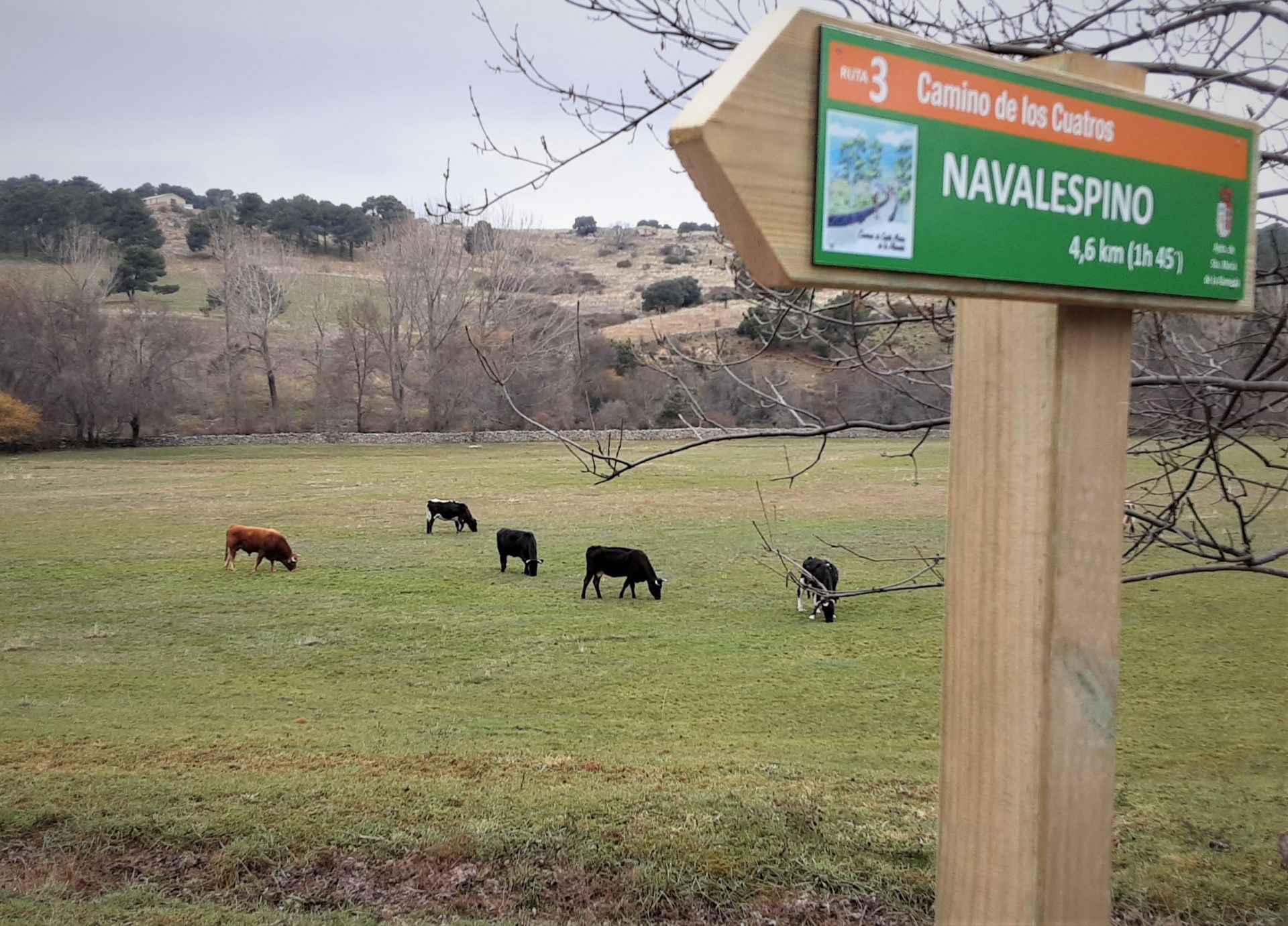 Ruta 3. Camino de los cuatro. Santa María de la Alameda QR Ruta 3. Camino de los cuatro. Santa María de la Alameda