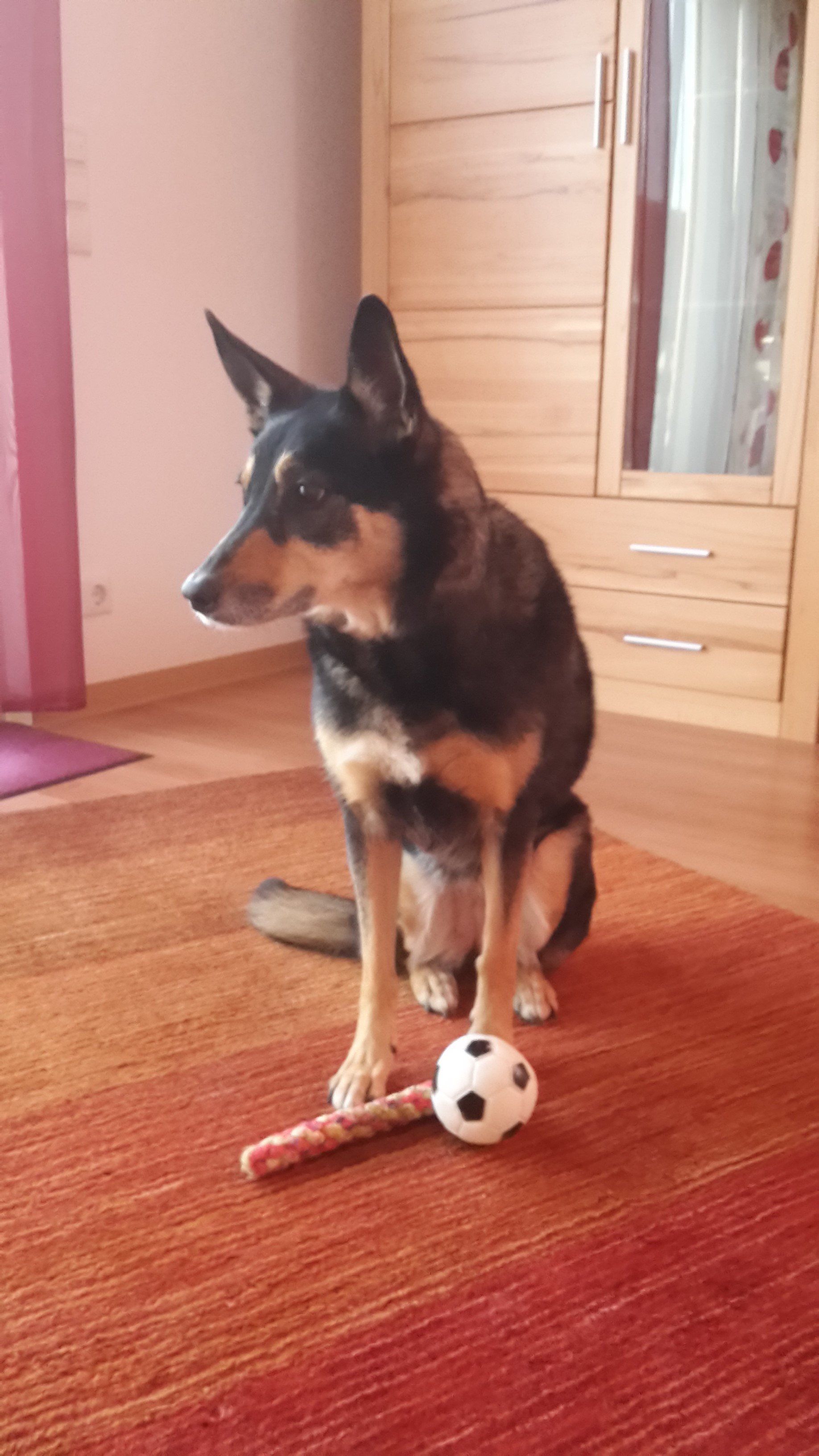 Foto sitzend mit Ball & Tau