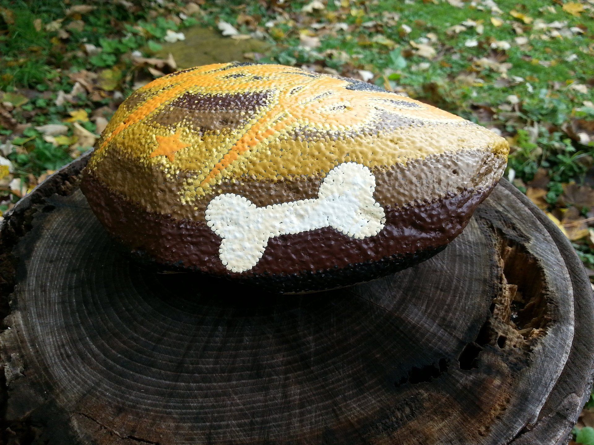 + weiß-beiger Hundekauknochen