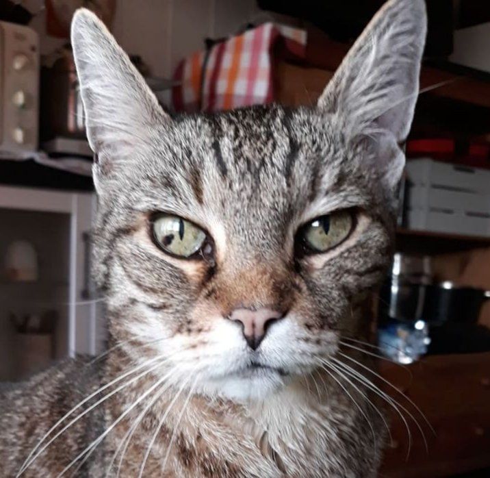 Foto Duzi